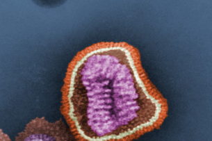 Вирусы крадут у людей куски генетического кода
