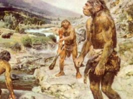 Ученые обнаружили утраченную ветвь человечества, пережившую ледниковый период