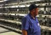 На территории СЭЗ Бишкека обнаружили подпольную «майнинг-ферму»