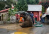 Рабочие вытащили из канализации в Мексике крысу размером с человека — видео
