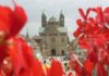 Католические монахини в Германии устраивали оргии для педофилов — СМИ ФРГ