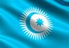 Саммит Тюркского совета в Казахстане перевели в онлайн из-за коронавируса