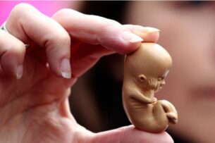 Врачи в США готовятся к испытаниям искусственной матки для человека