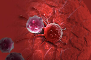 Вакцина от рака мозга успешно прошла первую стадию клинических испытаний