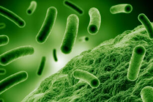 Найденная во льдах древняя бактерия оказалась устойчивой к современным антибиотикам