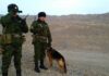 Пограничники Кыргызстана выявили незадекларированные 1,3 млн рублей и нашли ружье на границе с Узбекистаном