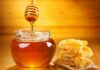 Обнаружены первые свидетельства добычи мёда в доисторической Африке