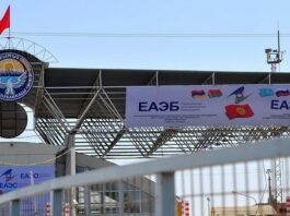 В Кыргызстан не пропустили более 6,4 тонн рыбы из Ирана