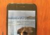 Фото собаки на заставке утонувшего телефона помогло найти его хозяина