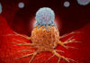 Nature: ученые предложили бороться с раком, влияя на нервную систему