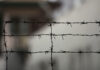 Эксперты ООН подозревают Китай в изъятии органов у заключенных из числа меньшинств