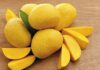 В Россию не пропустили дыни и манго из Кыргызстана из-за вредителей