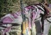 ГКНБ: Обнаружен схрон оружия и боеприпасов на территории Аламудунского района