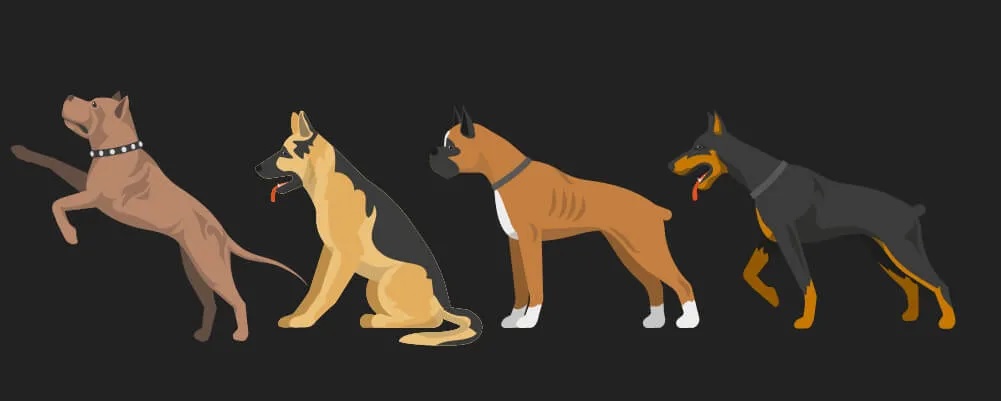 15 лучших пород собак для защиты – K-News