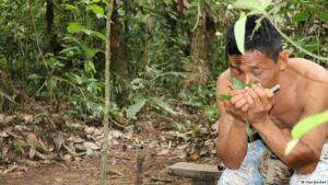 В тропическом лесу в Бразилии знающий отыщет самые разные средства исцеления и очищения организма