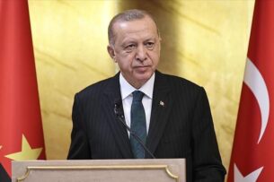Эрдоган предложит Зеленскому организовать его встречу с Путиным