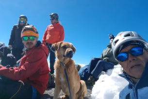 Альпинисты поднялись на самый высокий пик Мексики ради спасения бездомного пса