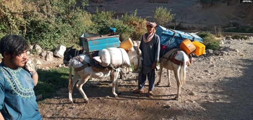 "Талибан" обвиняют в захвате земель этнических узбеков и туркменов в Северном Афганистане