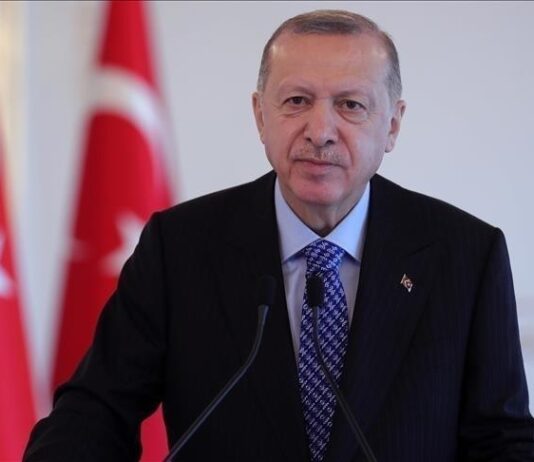 Эрдоган сделал заявление по поводу падения военного транспортного самолета ВВС Турции на границе Грузии и Азербайджана