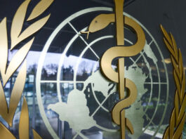 Почему ВОЗ созывает первый глобальный саммит высокого уровня по народной медицине