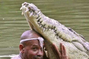 Мужчина спас крокодила от гибели. После этого 4-метровый гигант стал приходить к его дому и требовать объятий