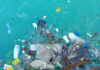 Гигантское мусорное пятно в Тихом океане начали заселять живые организмы