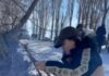 На Иссык-Куле проверят законность выданного певице Анжелике разрешения на вырубку деревьев