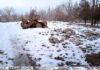 В санатории «Кыргызстан» в Воронцовке рубят деревья, ломают корпуса, разбили памятник участникам ВОВ