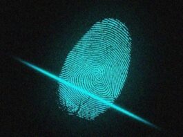 Новый инструмент позволит анализировать цифровые отпечатки текста в интернете