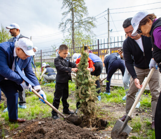 KICB с партнерами озеленили 7 школ и детских садов Бишкека