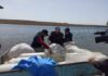 В озеро Иссык-Куль выпустили мальков сига-лудога и иссык-кульской форели