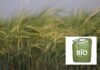 Казахстан начал экспорт биотоплива в Европу