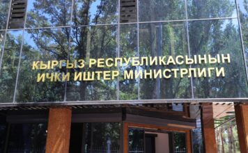 МВД: Депутату Айгуль Айдаровой следует воздержаться от необоснованной критики