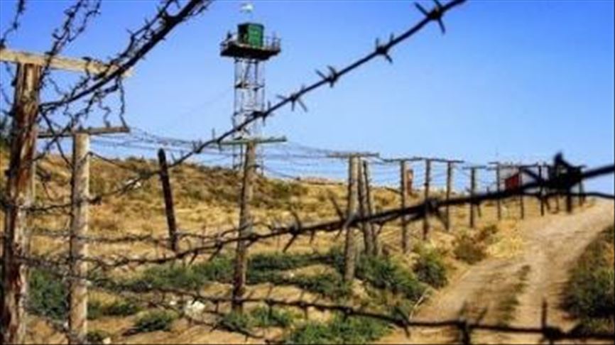 На границе с Таджикистаном пограничники пресекли незаконный перегон скота