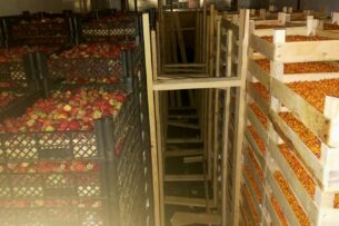 В российский Мурманск из Кыргызстана привезли три тонны ягод