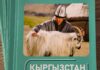 Новое оборудование увеличивает производство высококачественного кашемира в Кыргызстана