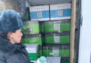 Из Кыргызстана в Россию пытались незаконно ввезти партию импортных китайских пестицидов и французских агрохимикатов