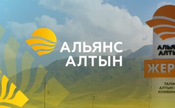 Максимальная безопасность. Как «Альянс Алтын» заботится об экологии Таласской области