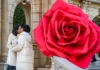 Китайских студентов отправили на каникулы, чтобы они влюбились