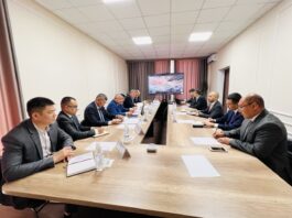 В Минэнерго Кыргызстана обсудили с компанией Masdar вопросы по строительству солнечной электростанции