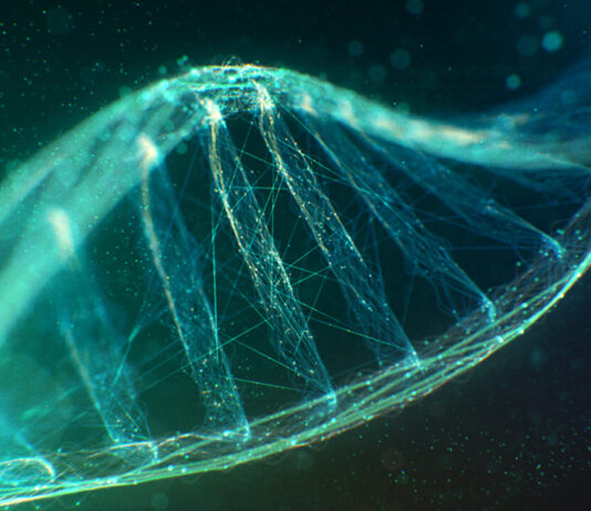 Учёные провели исследование ДНК населения Узбекистана для создания генетической карты страны