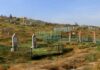 В Туркменистане всплеск заболеваемости и рост количества детских могил на кладбищах