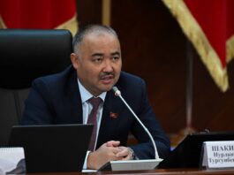 Спикер парламента Кыргызстана призвал блокировать мультфильмы не на кыргызском языке
