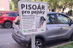 В чешском городе установили собачьи писсуары