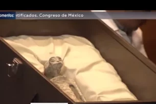 Вызвавшие споры в Мексике 1000-летние «тела пришельцев» проходят лабораторные исследования