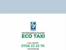 Мэрия Бишкека запустила ECO TAXI. Они могут ездить по выделенной полосе