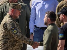 Военные Украины хотят видеть президентом главкома ВСУ Залужного?