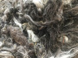 Кыргызстан готов экспортировать 18 тонн грубой шерсти в Монголию