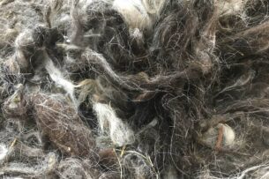 Кыргызстан готов экспортировать 18 тонн грубой шерсти в Монголию