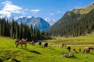 Минприроды Кыргызстана предлагает вынести два месторождения из границ национального парка «Чон-Кемин»